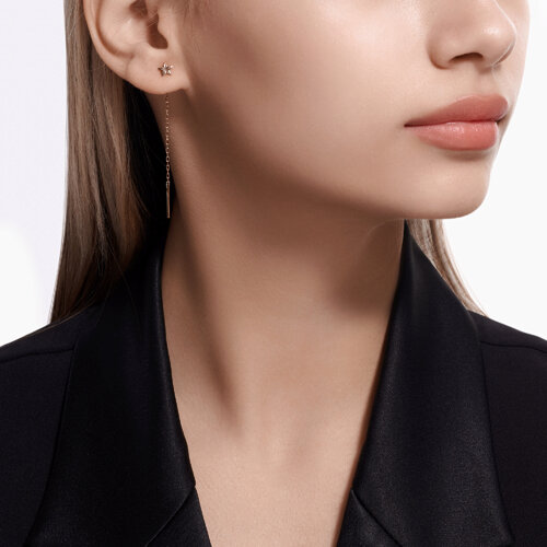 серьги — вид 3