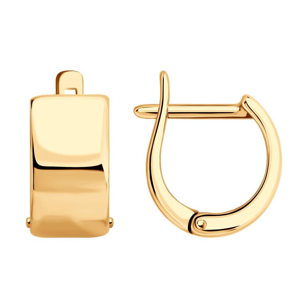 Серьги из позолоченного серебра - видео на модели