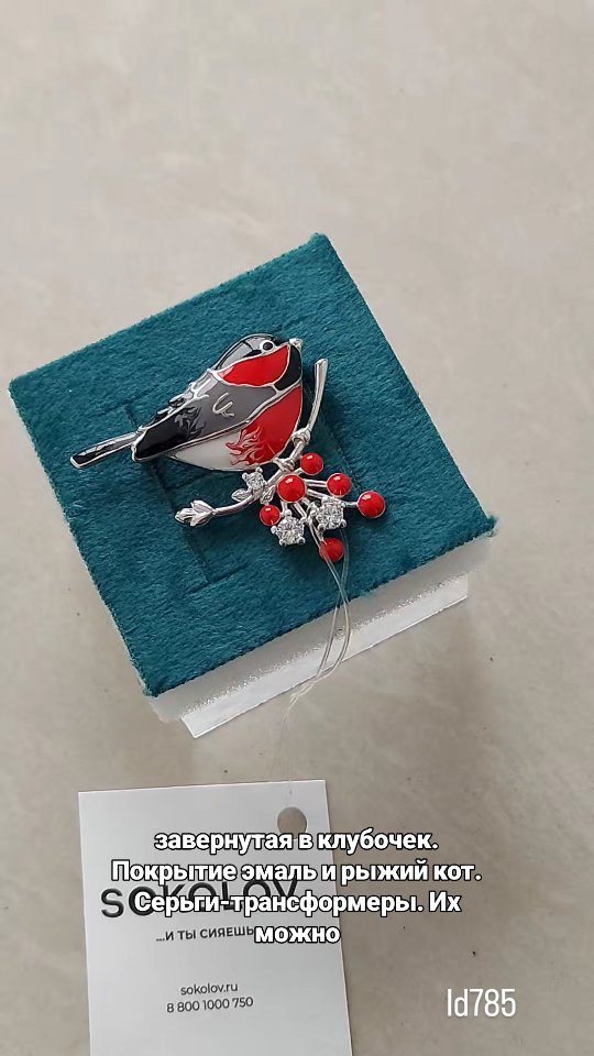Брошь из серебра с эмалью — кадр из рилса